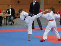kopie_von_dscf4399.jpg